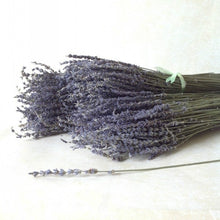 Load image into Gallery viewer, 30 stems Dried Lavender Flowers Branch