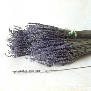 30 stems Dried Lavender Flowers Branch 