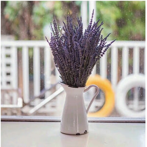 30 stems Dried Lavender Flowers Branch 