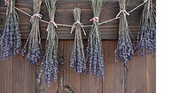 Load image into Gallery viewer, 30 stems Dried Lavender Flowers Branch 
